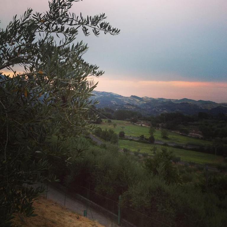 L'usignolo Bed & Breakfast