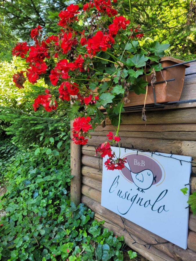 L'usignolo